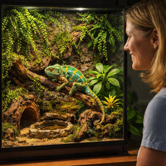 HERCOCCI Habitat reptiles con plantas artificiales para esconderse.
