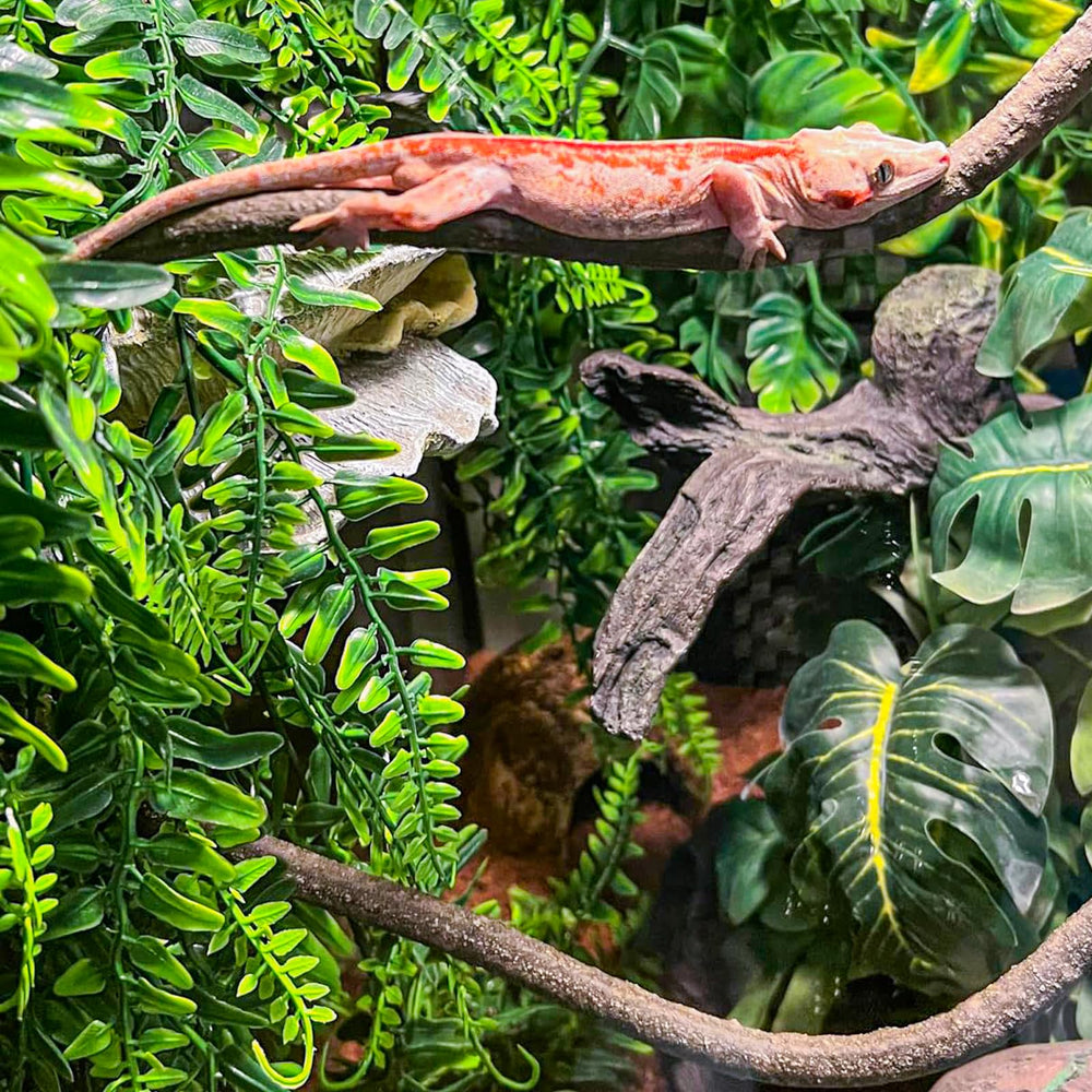 Hojas suaves tipo seda de HERCOCCI realzan el paisaje del terrario