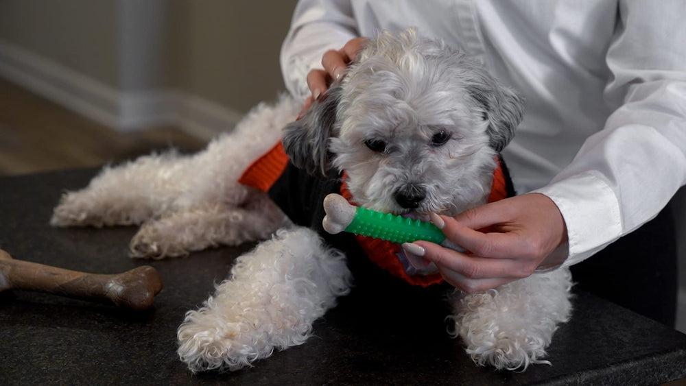 Hero Bonetics pack 3 huesos para perros pequeños.