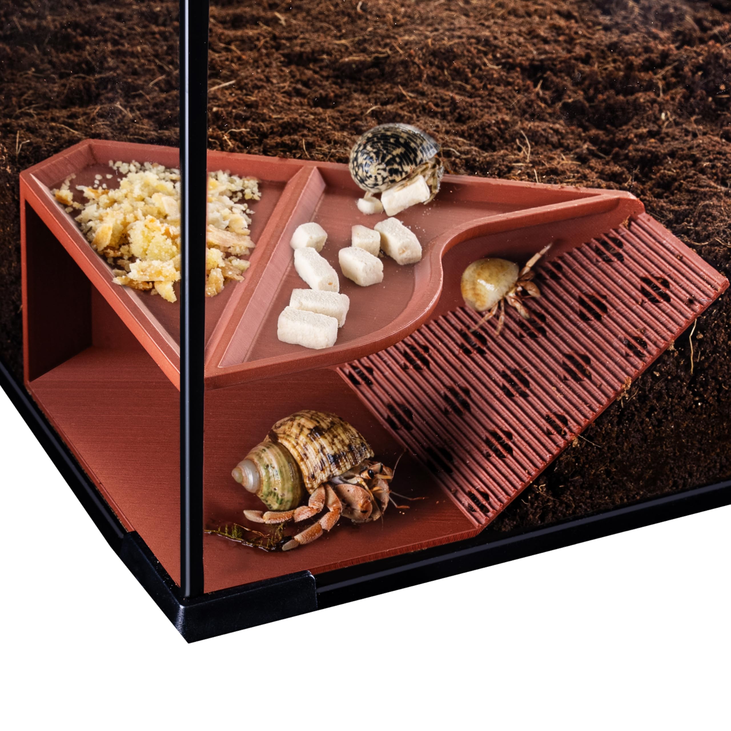 HERPDEN cueva-habitat con túnel y escalera, visión de 180° y entorno seguro.
