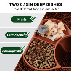 HERPDEN habitat-tazones-dobles facilita comidas variadas en un solo conjunto.