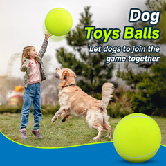Pelota HETOO gigante para perros apta para agua y terreno