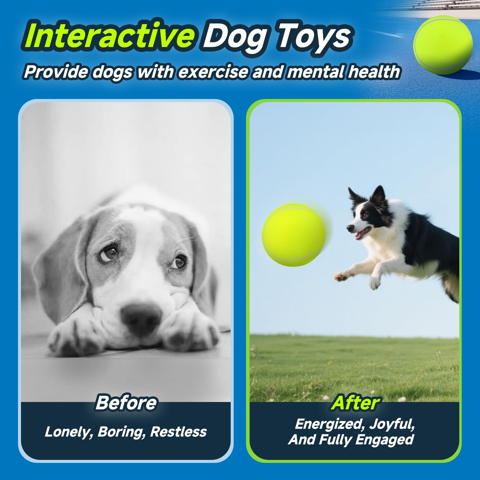 Juguete exterior HETOO como regalo para perros