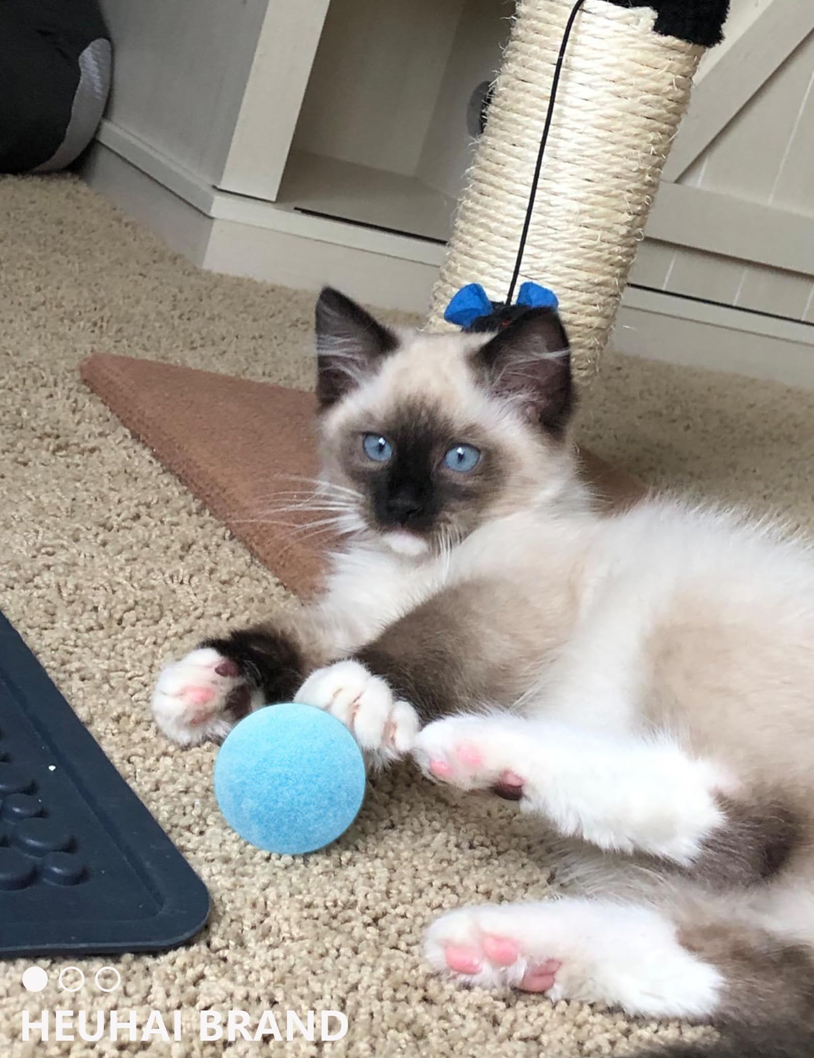 HEUHAI bolas para gatos negras: durabilidad para juegos activos.