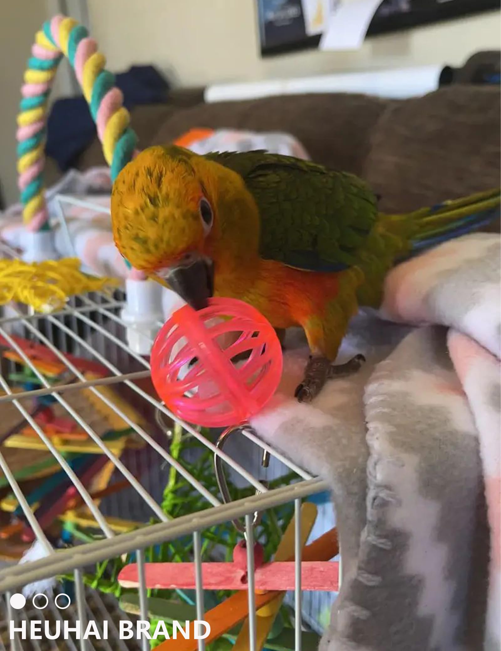 HEUHAI diseño colorido con colores brillantes para aves