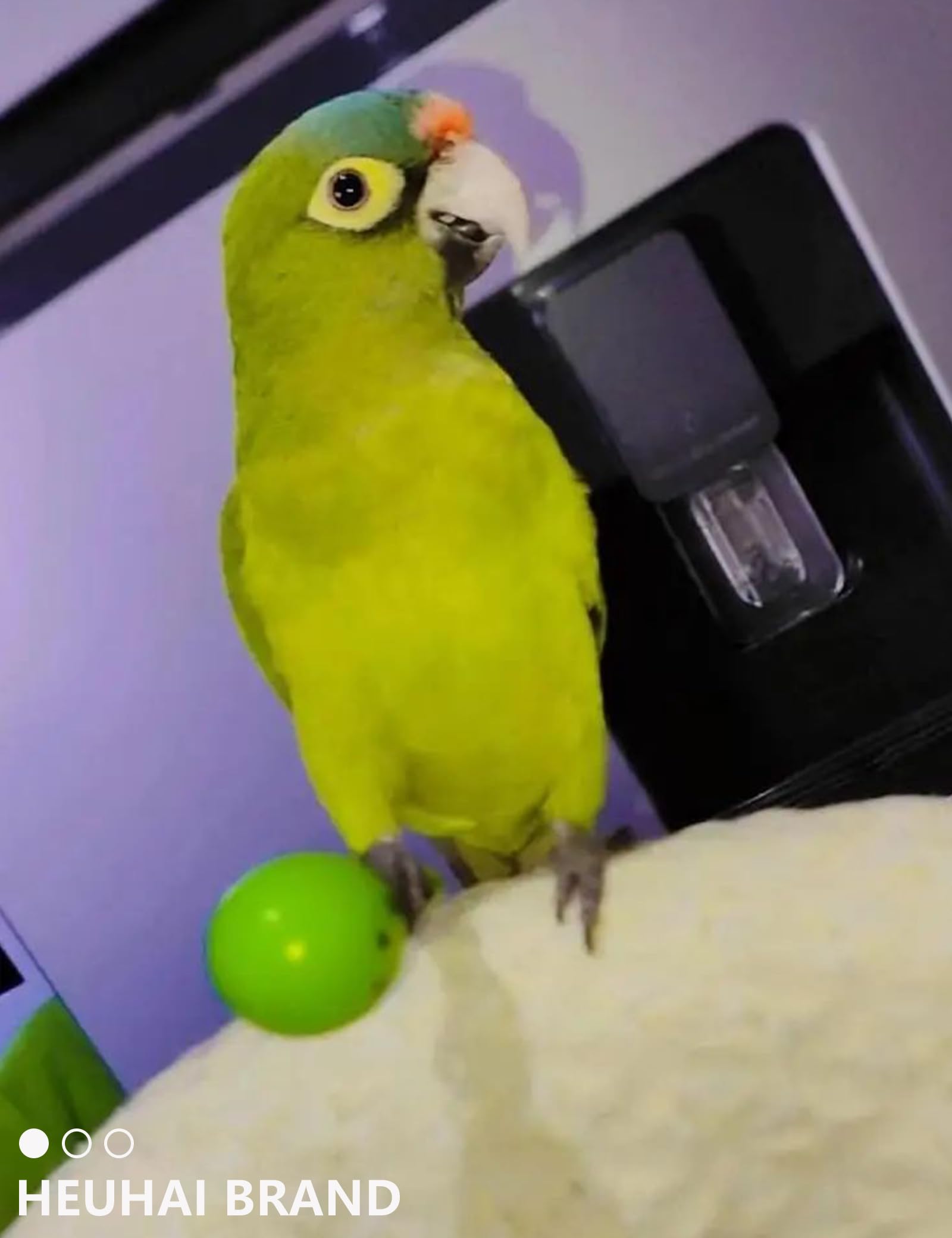 HEUHAI juguete para aves con sonajeros para estimulación sonora
