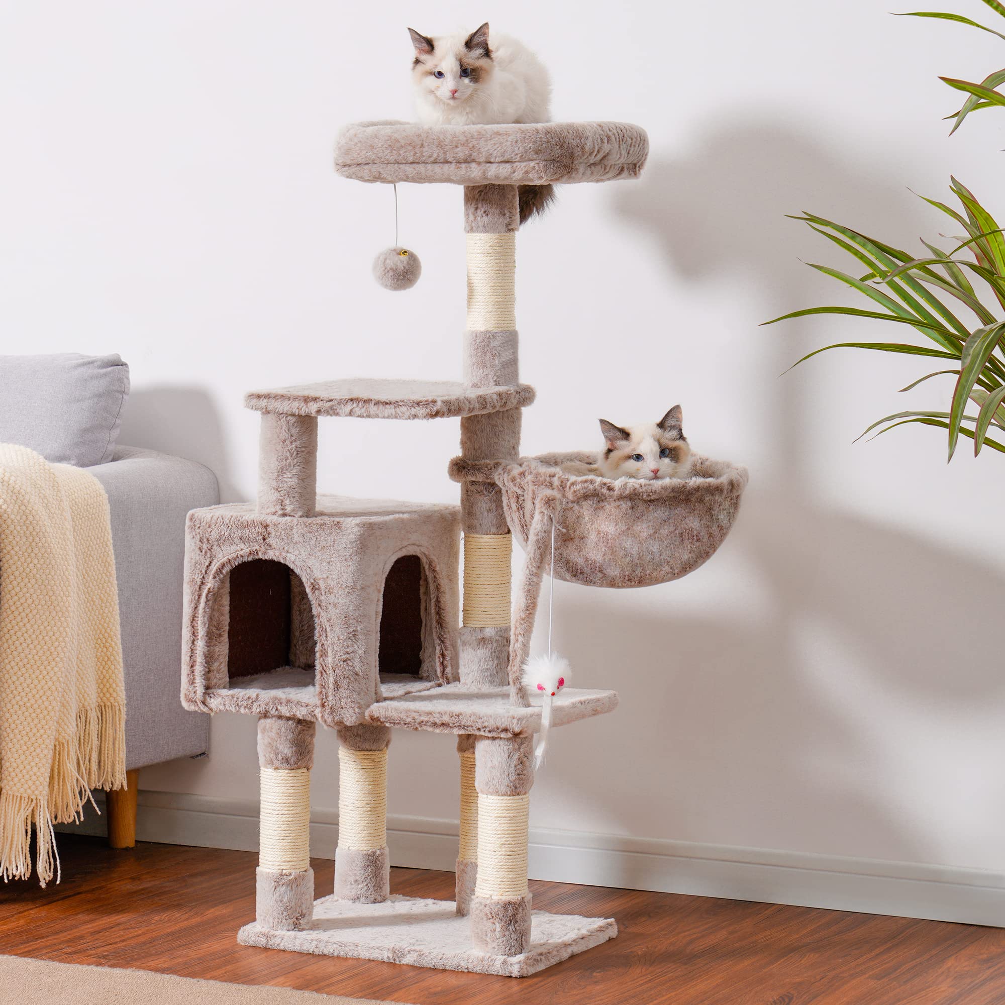 Heybly casa gatos plataforma acolchada: refugio cómodo para siestas tranquilas