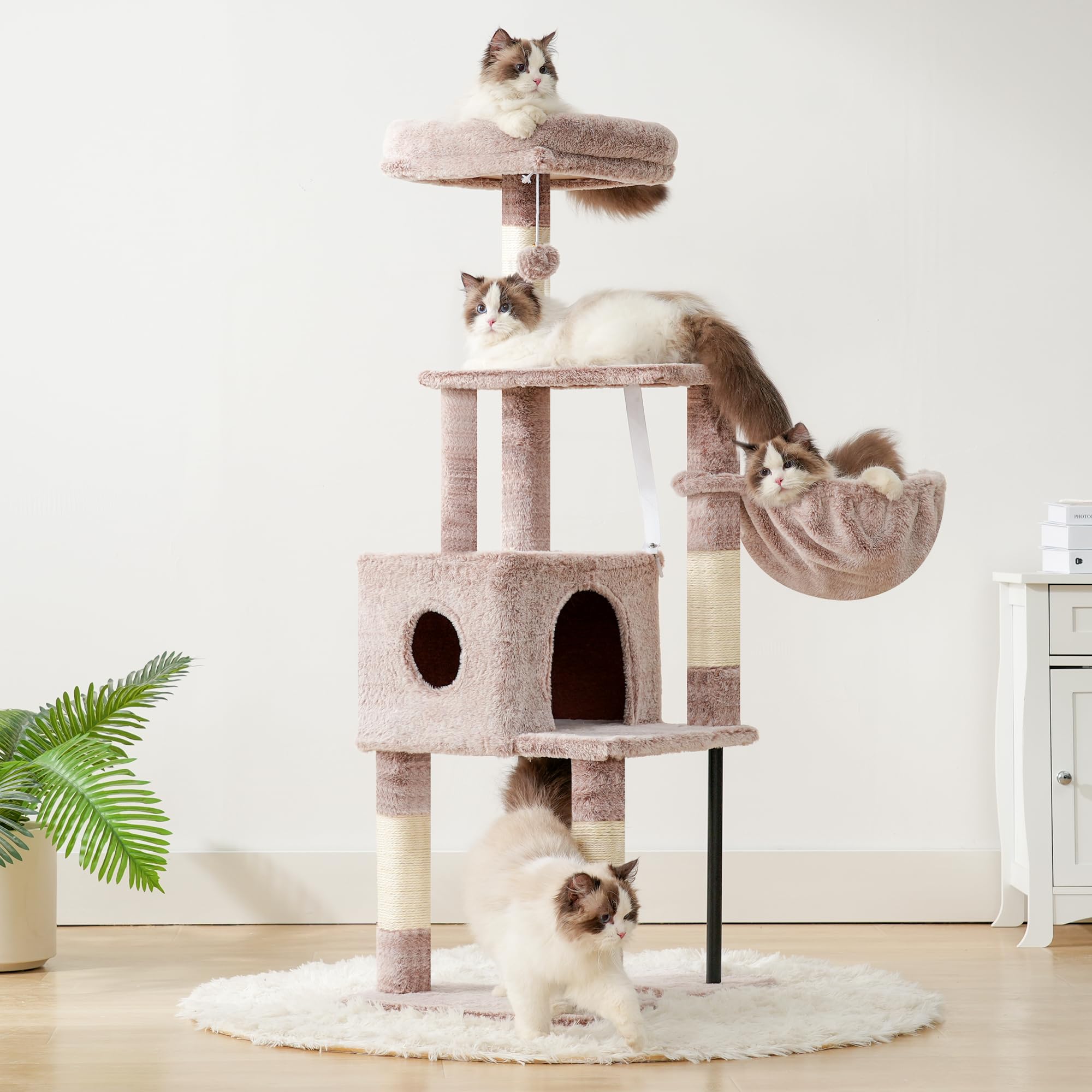Heybly Gato Torre de Gato: dos plataformas superiores para vistas y juego.
