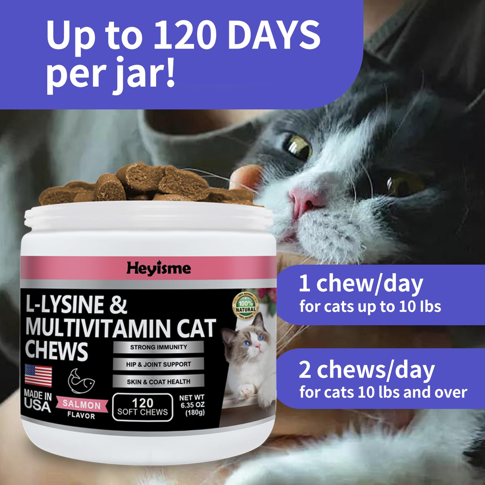HEYISME L-Lisina para gatos: fuente sostenible de nutrientes para la salud diaria.