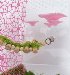 Heyshapeing cinta-de-musgo-rosa: refugio suave y superficie natural para movimientos calmados.