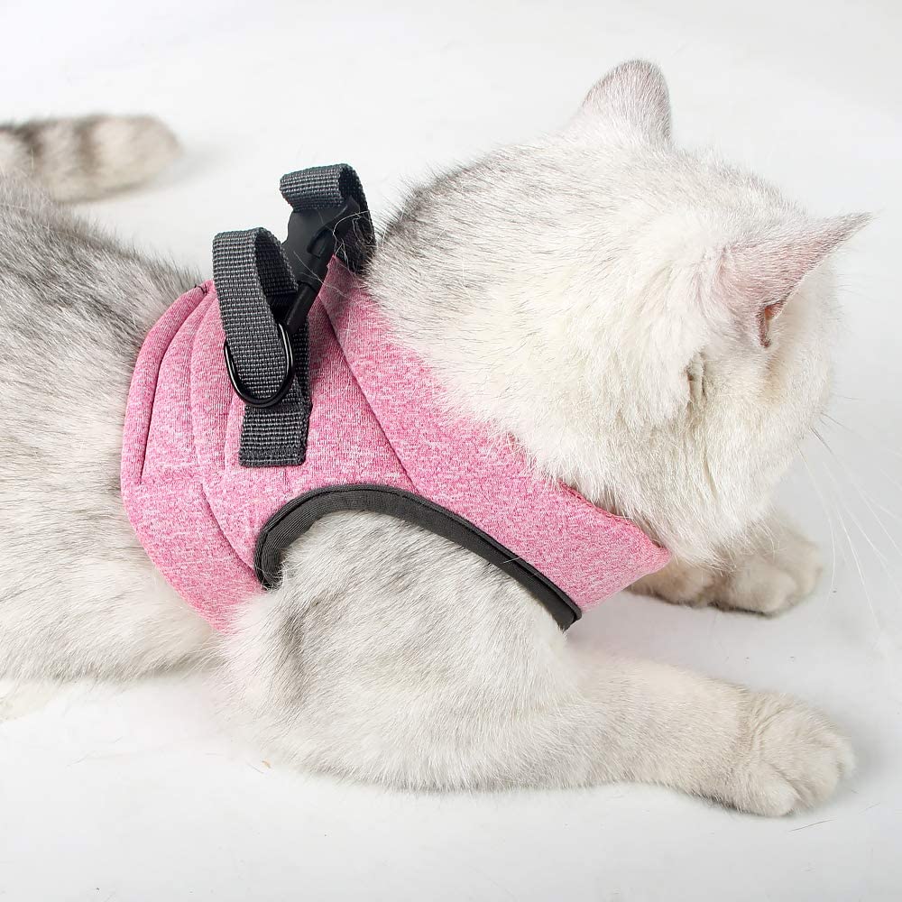 HEYWEAN guía de tallas con ajustes de pecho para diferentes cuerpos de gato.