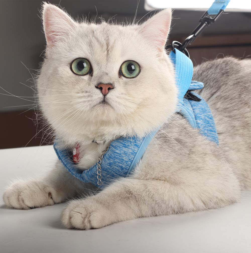 HEYWEAN uso multipropósito para gatito, cachorro y conejo durante el paseo.