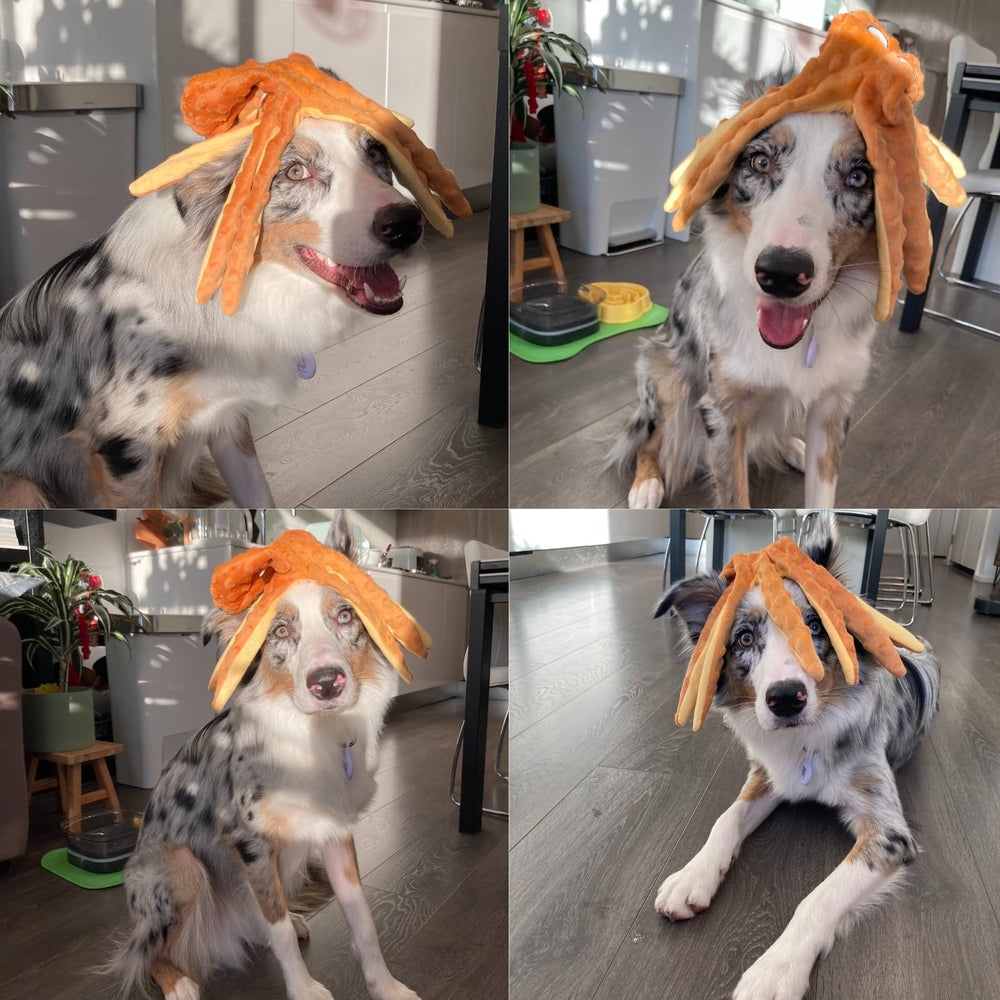 Pulpo duradero HGB para perros activos y amantes de mordiscos.