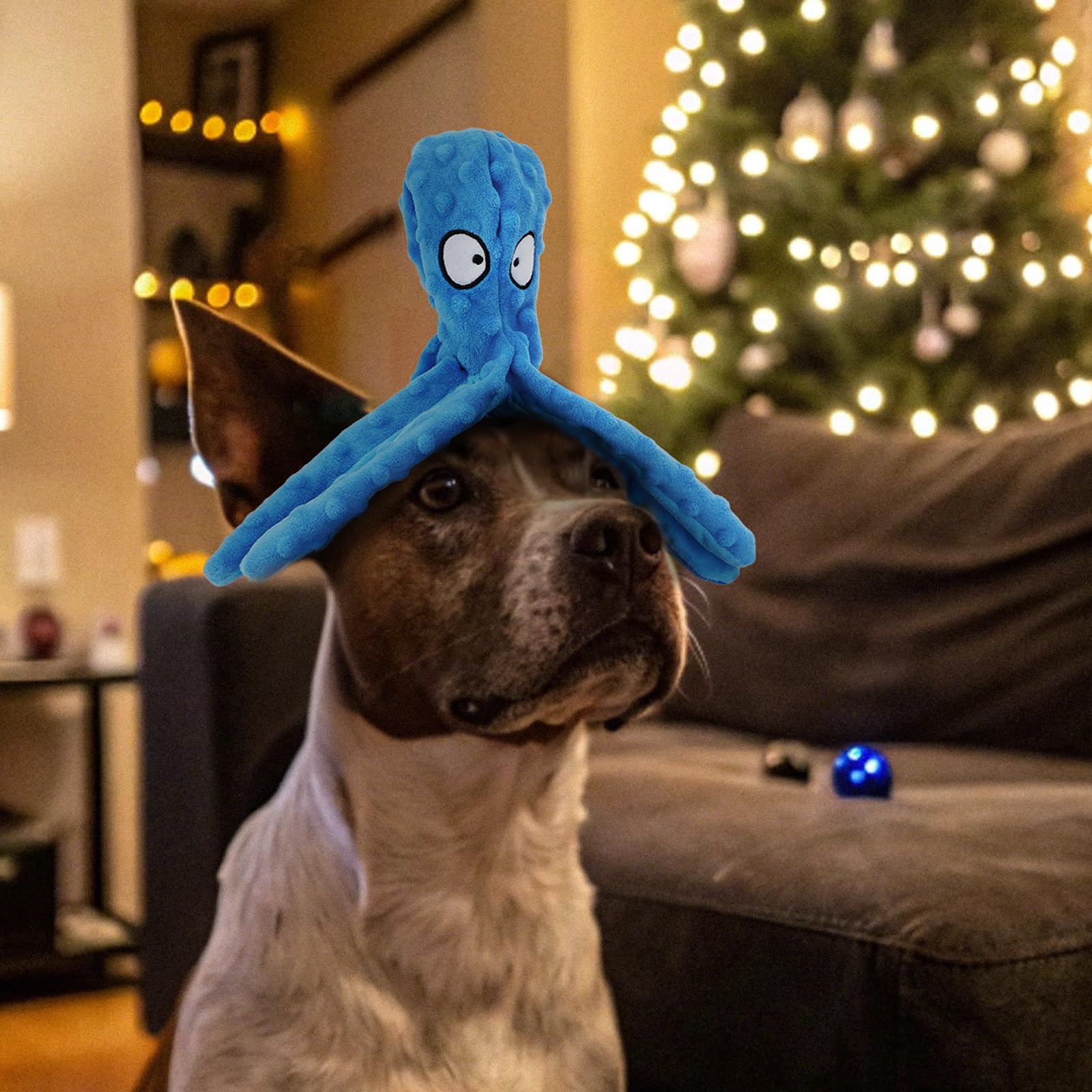 Pulpo HGB para juego de tira y afloja.
