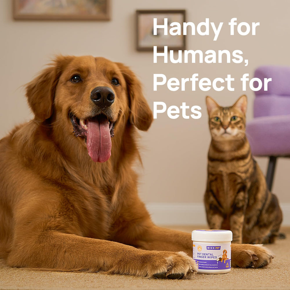 Compatibilité chiens et chats: lingettes adaptées par HICC PET.