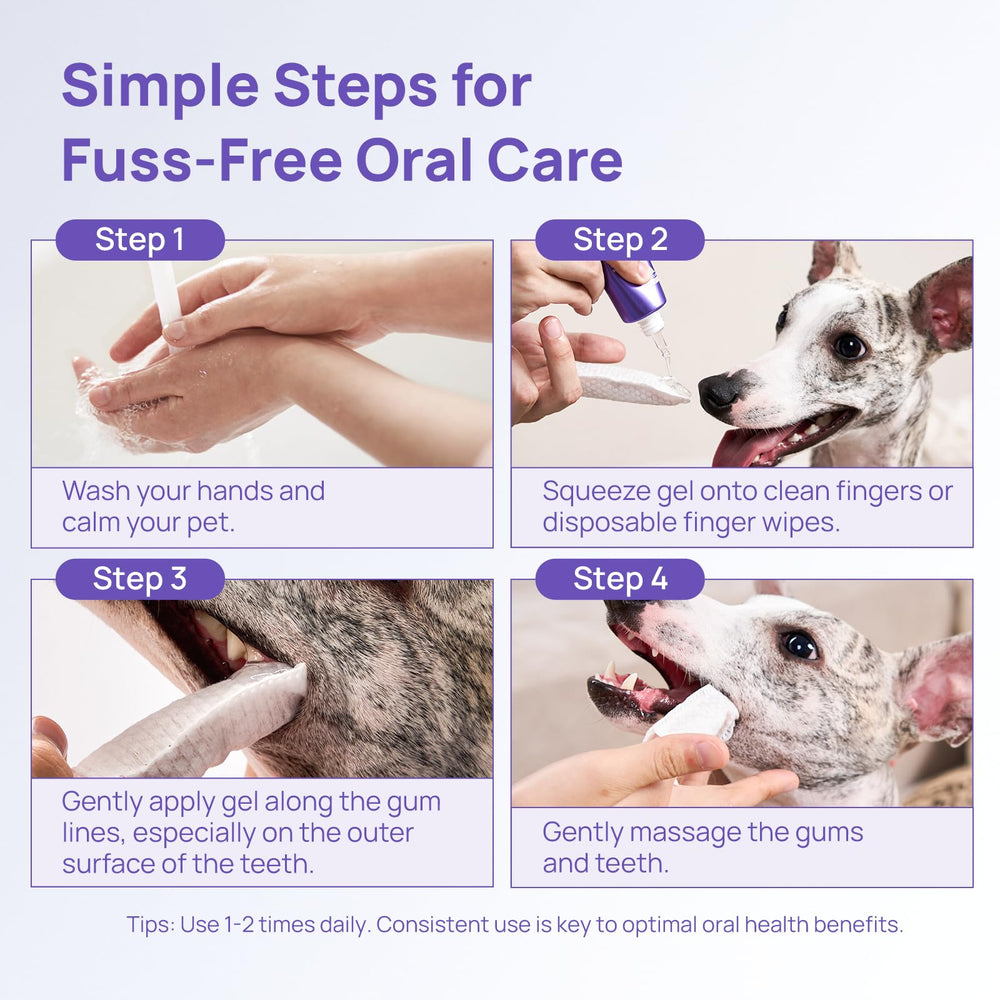 Uso práctico en casa o durante viajes con HICC PET Gel Dental