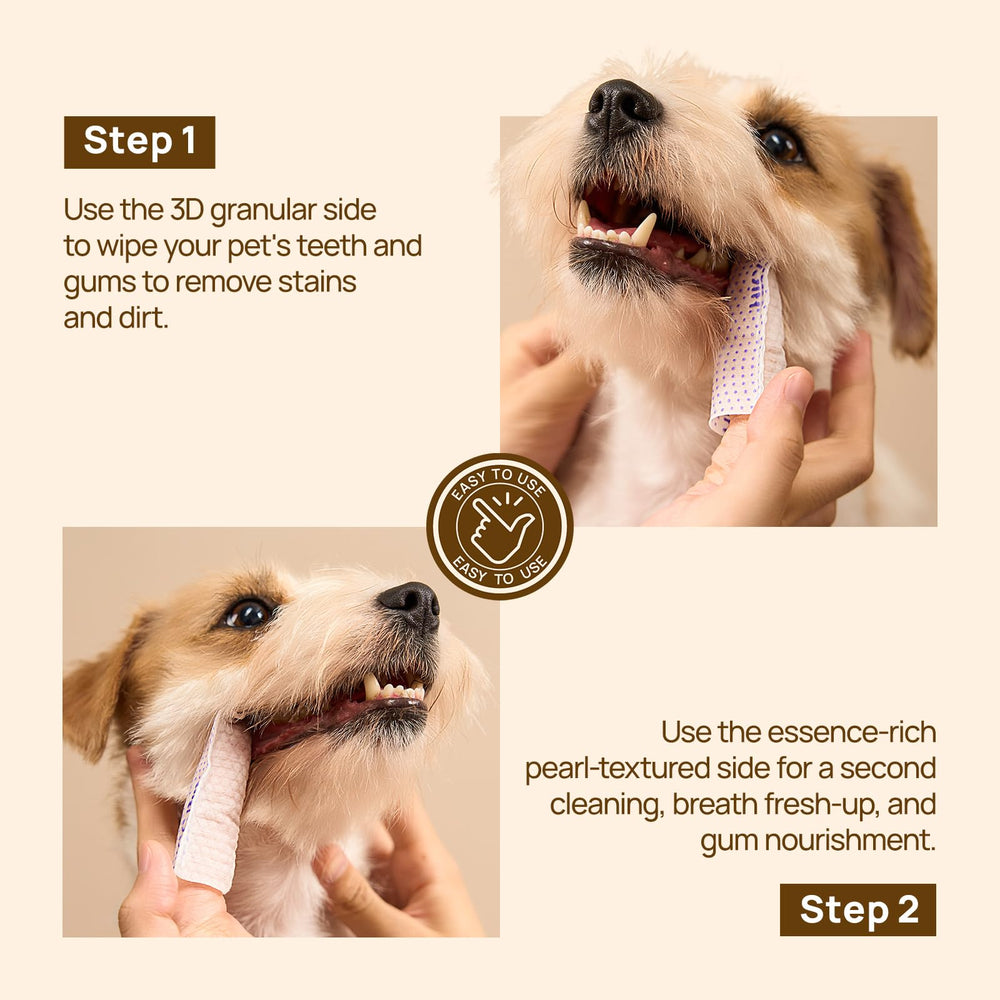 Uso doble: limpieza dental y masaje de encías con HICC PET Pro