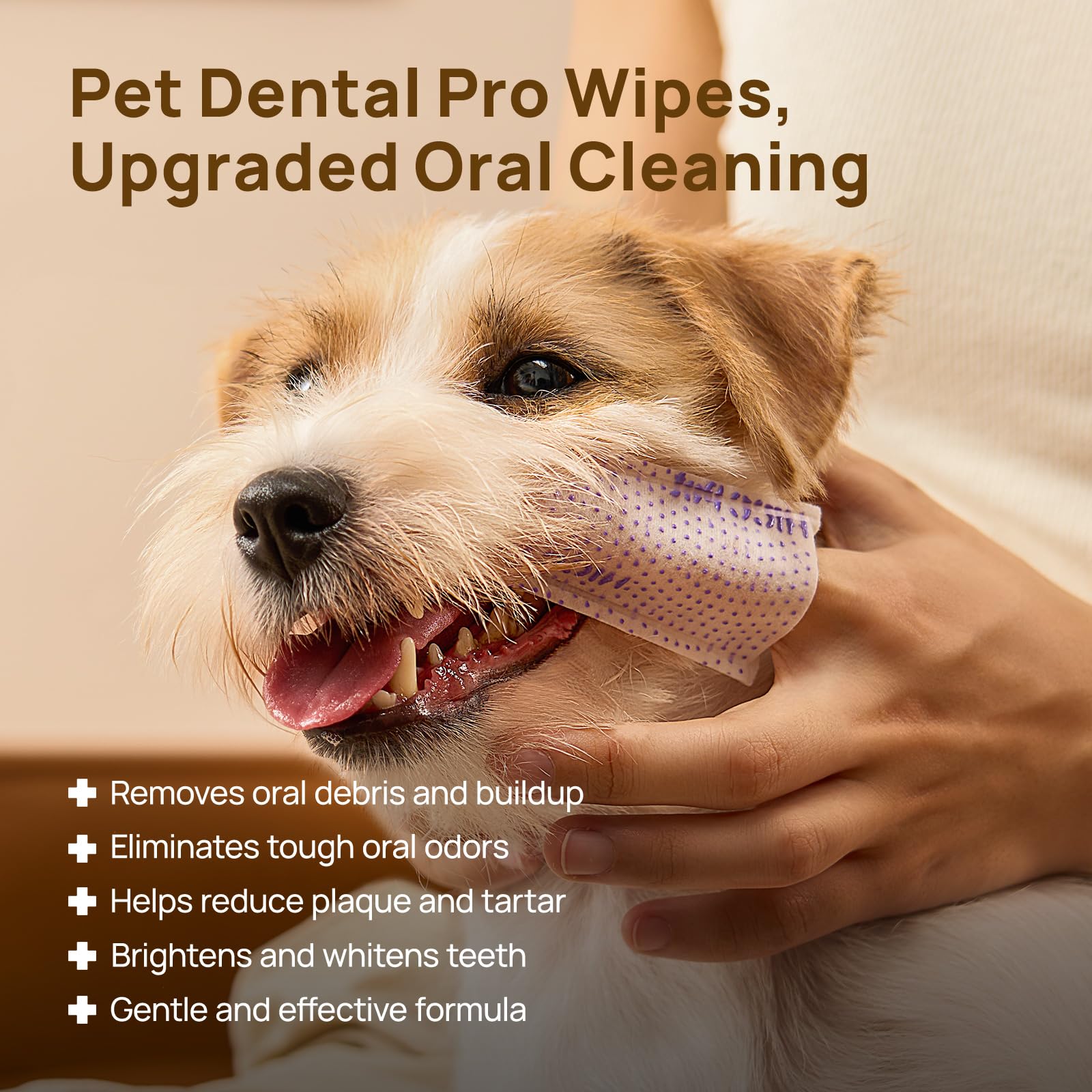 HICC PET Pro: empaque de toallitas dentales para uso diario sin enjuague.