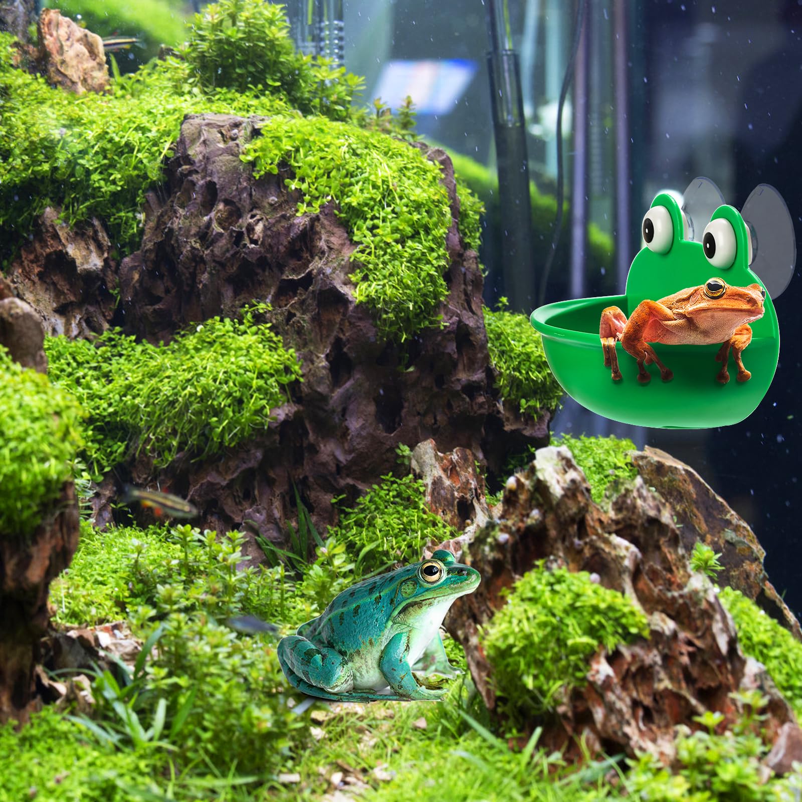 Hiceeden habitat color verde vibrante: se integra con el entorno del acuario.
