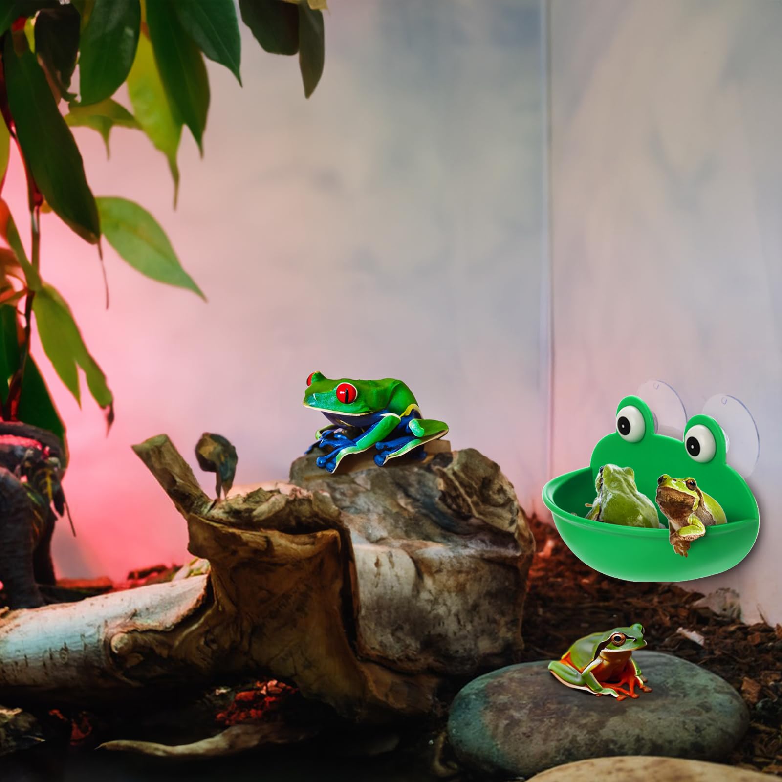 Hiceeden habitat lugar de descanso: solución práctica para anfibios.