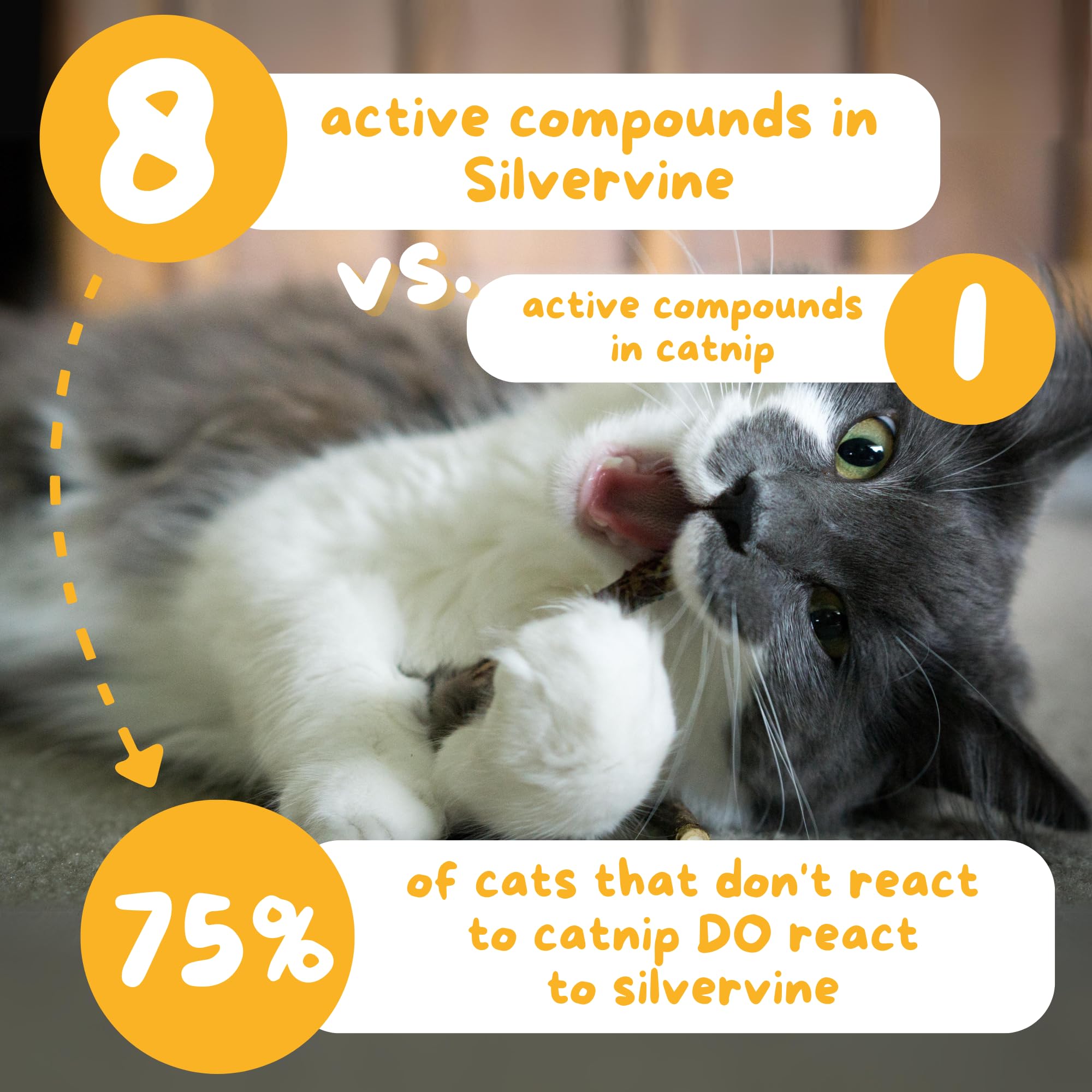 Hide & Scratch pack 12 unidades de silvervine para gatos