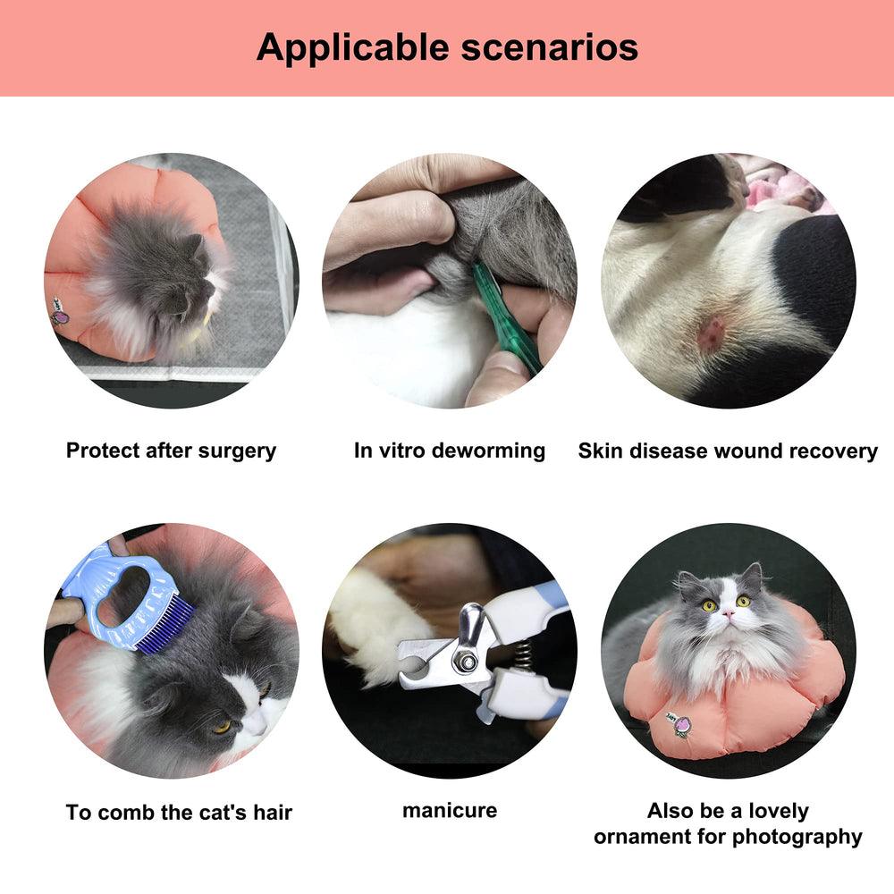 HiDREAM collier-cone chat récupération — soutien pendant le soin.
