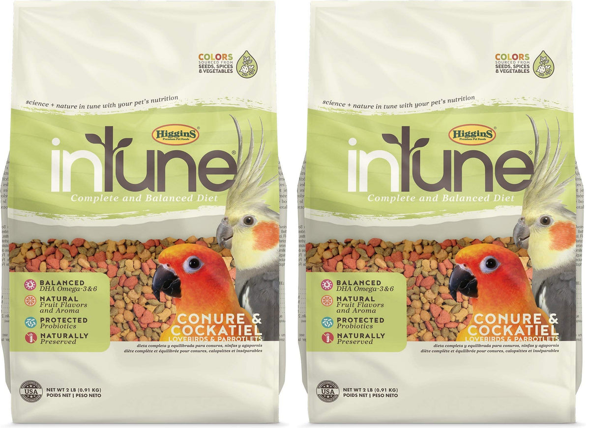 Higgins Intune para conure y cockatiel, alimento colorido con probióticos protegidos.
