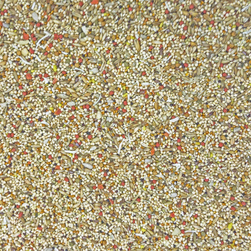 Higgins proteína de huevo: alimento complementario para energía y desarrollo natural de los periquitos.