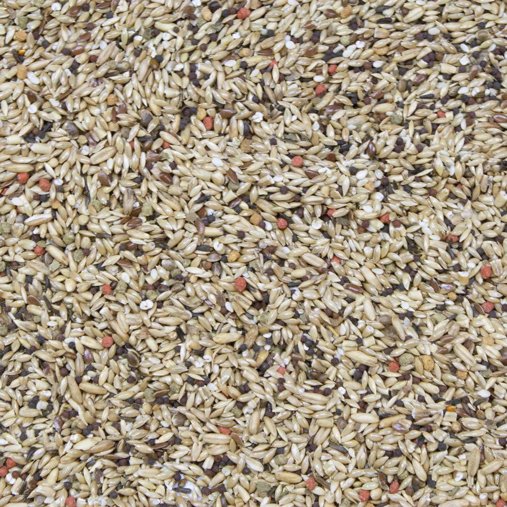 Higgins Vita Seed: probióticos protegidos y DHA para la inmunidad del canario