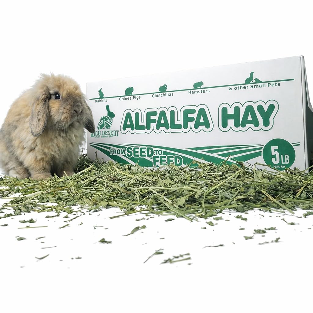 High Desert Alfalfa Hay crecimiento de conejos jóvenes, proteína y calcio.