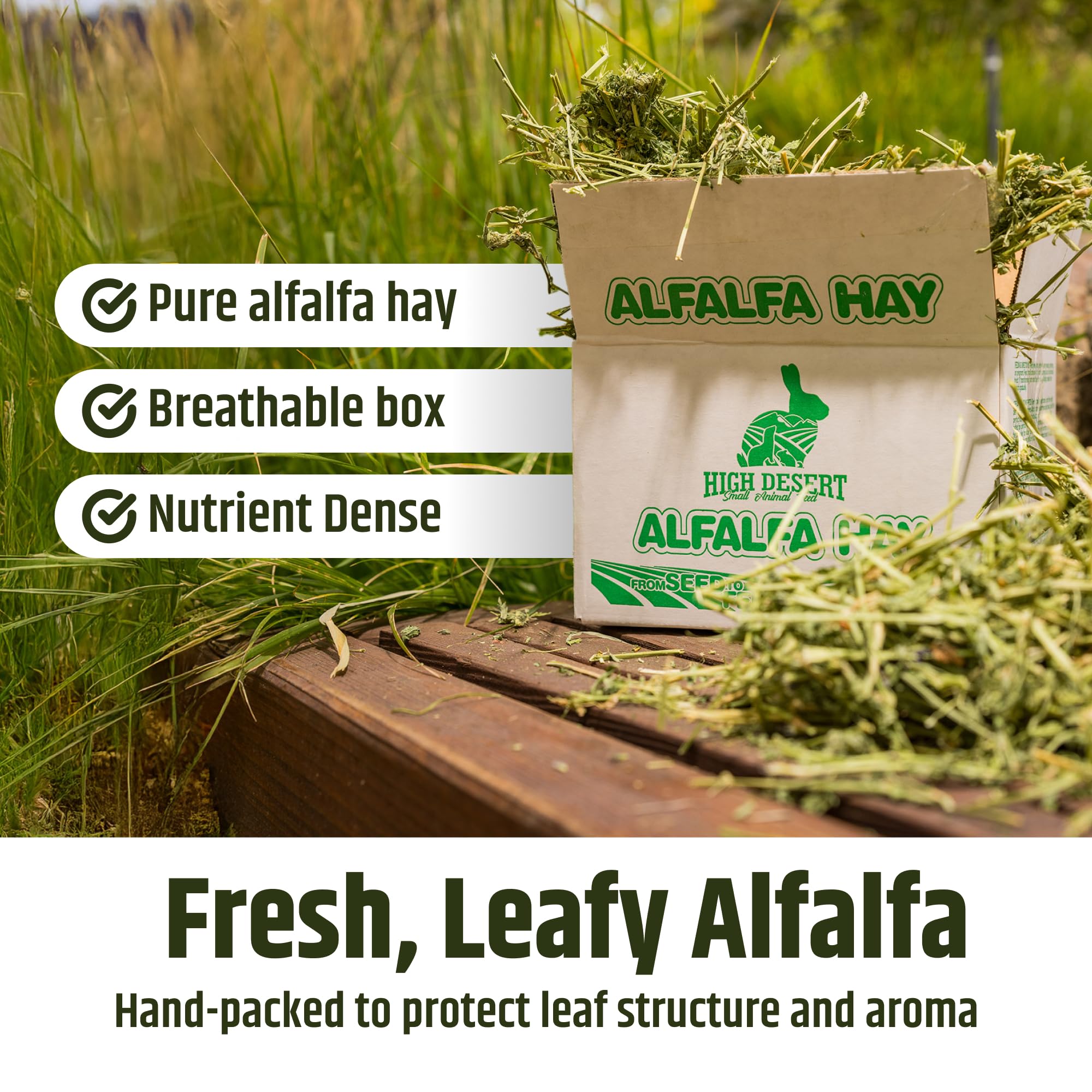 High Desert Alfalfa Heno empacado a mano: frescura y textura constantes
