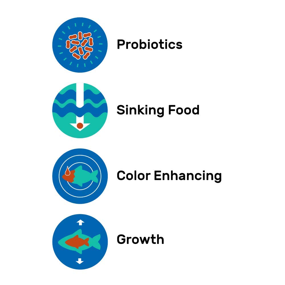 Hikari 042221: acuario marino con pellets, nutrición para peces herbívoros.