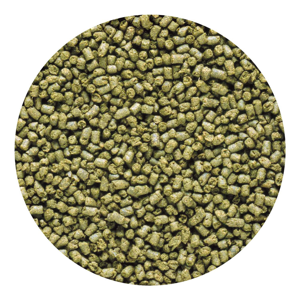 Detalle del pellet Hikari 042221, textura y tamaño para consumo.
