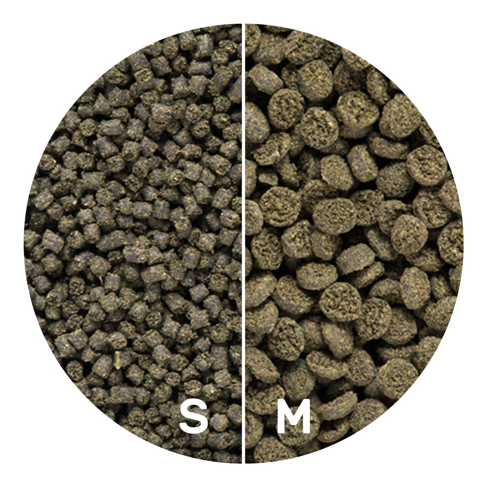 Hikari Alga Marina Extrema: alimento adecuado para damiselas, payaso y mariposas.