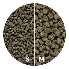 Hikari Alga Marina Extrema: alimento adecuado para damiselas, payaso y mariposas.