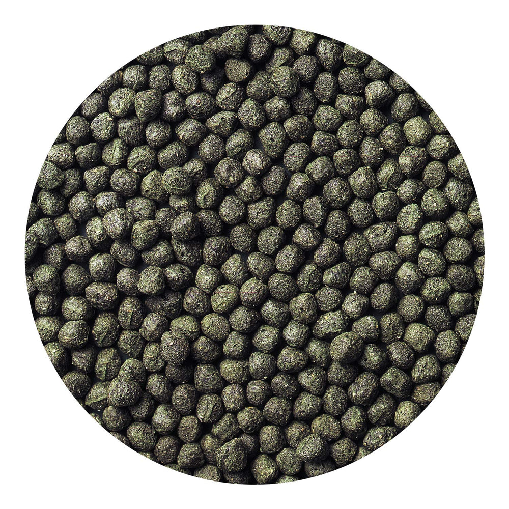 Hikari Cichlid Excel: spirulina cultivada para color y energía