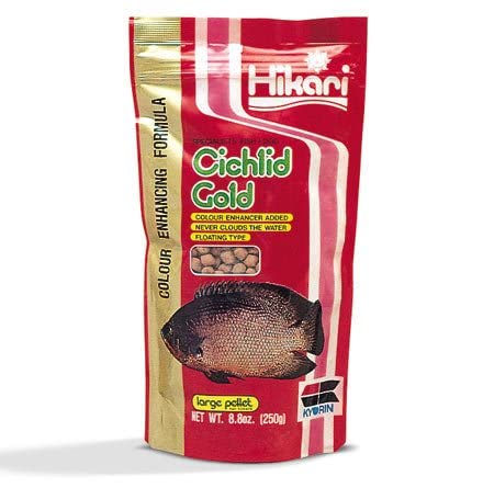 Hikari Cichlid Gold Medium, granulados de alta calidad para crecimiento saludable.