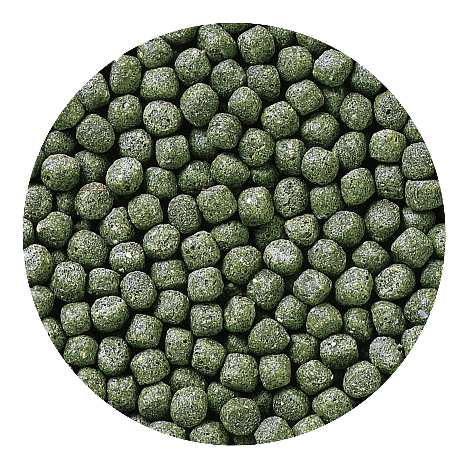 Acuario con pellets flotantes Hikari que favorece agua clara.