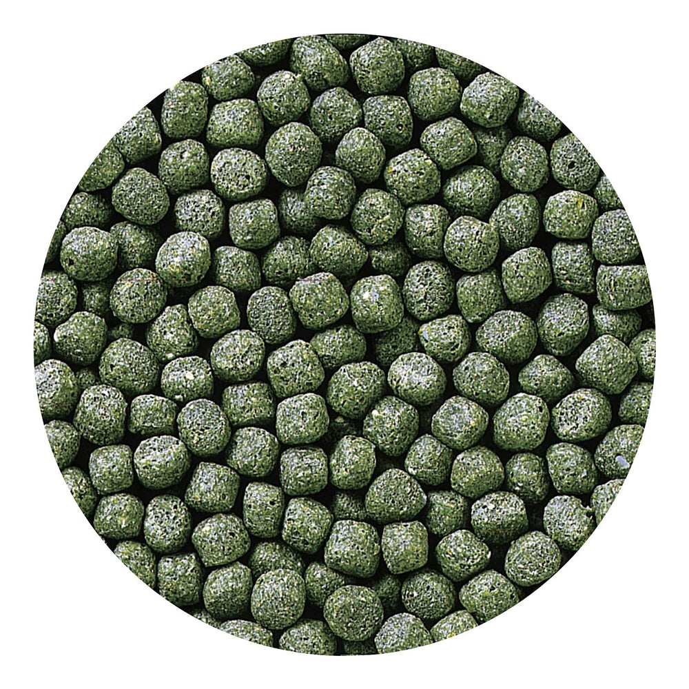 Acuario con pellets flotantes Hikari que favorece agua clara.