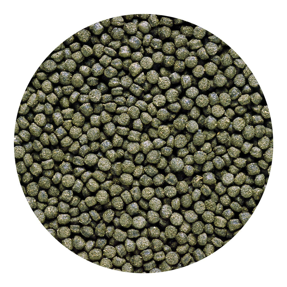Hikari Excel muestra color natural en cíclidos gracias a la Spirulina.