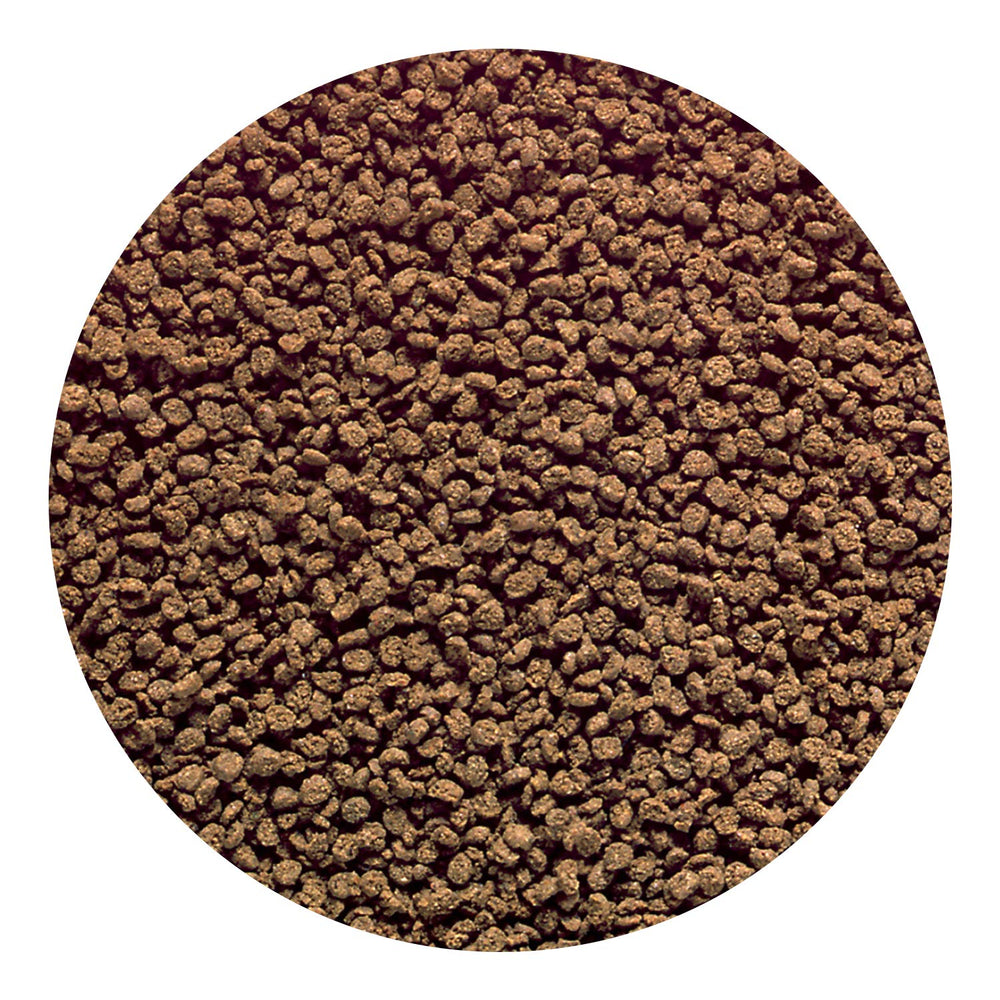 Discos disfrutando la nutrición equilibrada de Hikari Discus Bio-Gold