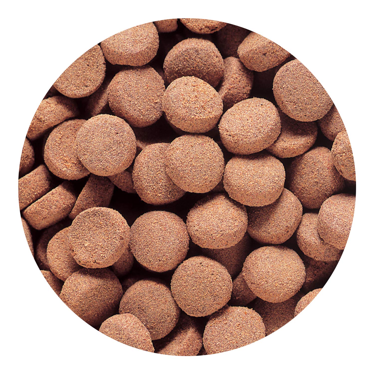 Hikari Massivore Delite 2,2 libras, envase práctico para alimentar a peces carnívoros.