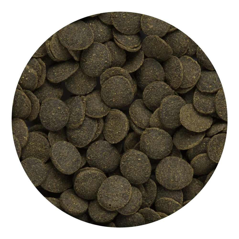 Hikari Mini Algas para peces de fondo, opción estable de dieta