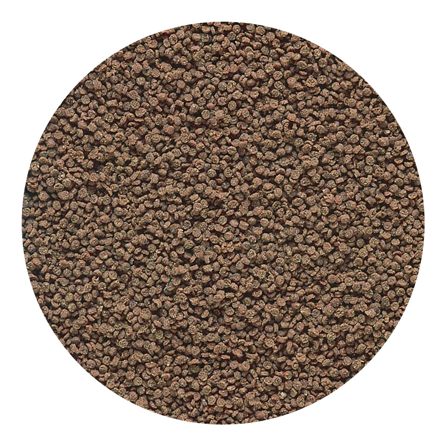 Hikari Obleas Micro, alimento de hundimiento lento para todos los niveles.
