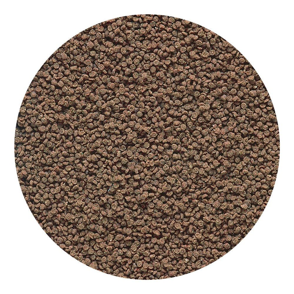Hikari Obleas Micro, alimento de hundimiento lento para todos los niveles.
