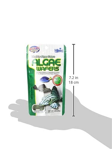 Hikari pastilla de algas tropical, en acuario, soporte nutricional para peces de fondo