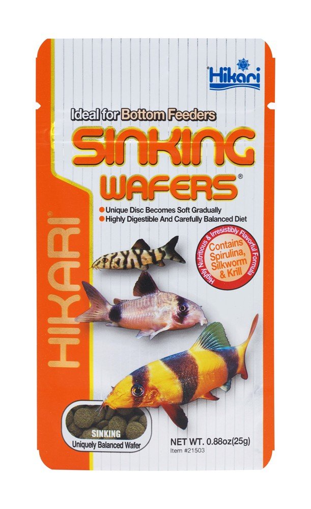 Pastilla hundida Hikari para peces tropicales, nutrición práctica para el acuario.