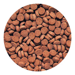 Pellets Hikari carnívoros hundidos absorben agua y adoptan textura similar a pez vivo