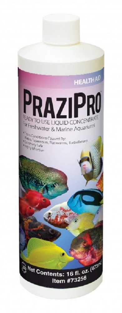 Hikari Prazipro, concentrado líquido para acuarios, trata parásitos sin dañar peces ni plantas.