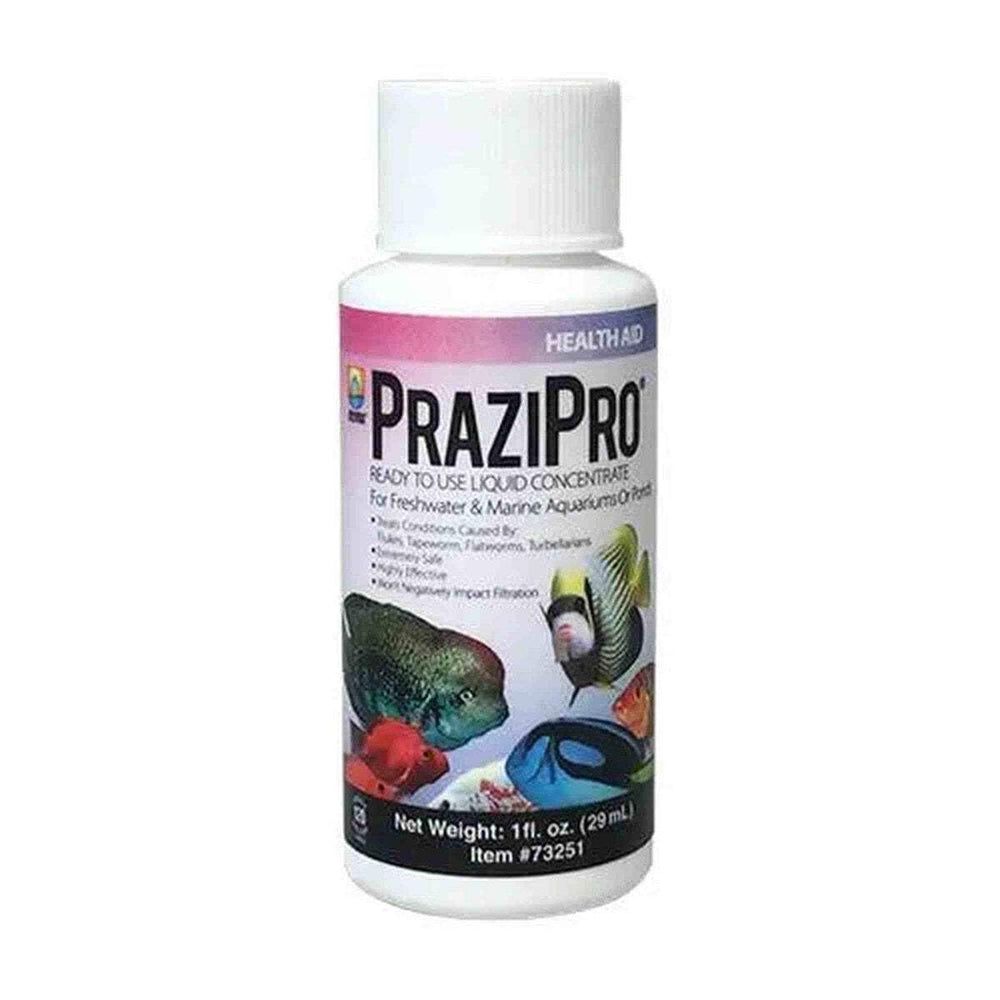 Hikari PRAZIPRO aplicación de tratamiento para tremátodos, facilita uso directo en acuarios.